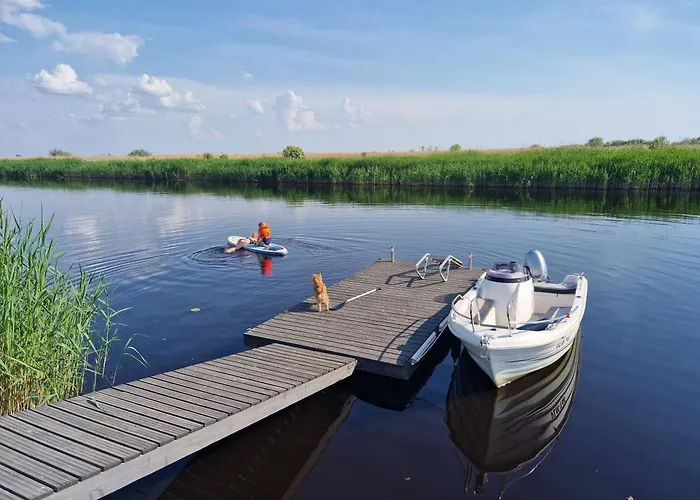 Joeveere Majutus Willa